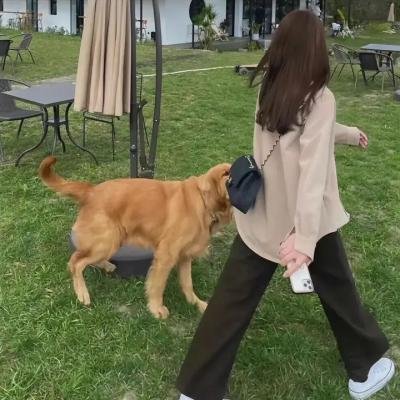 竞争的守护者